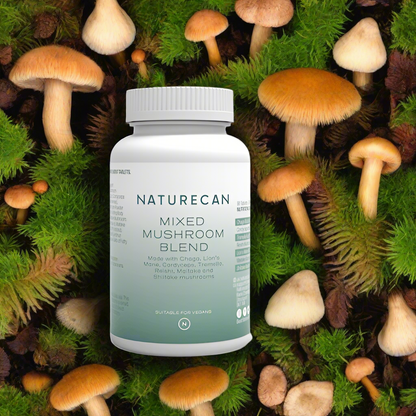 Lion's Mane & Chaga Mushroom Supplement