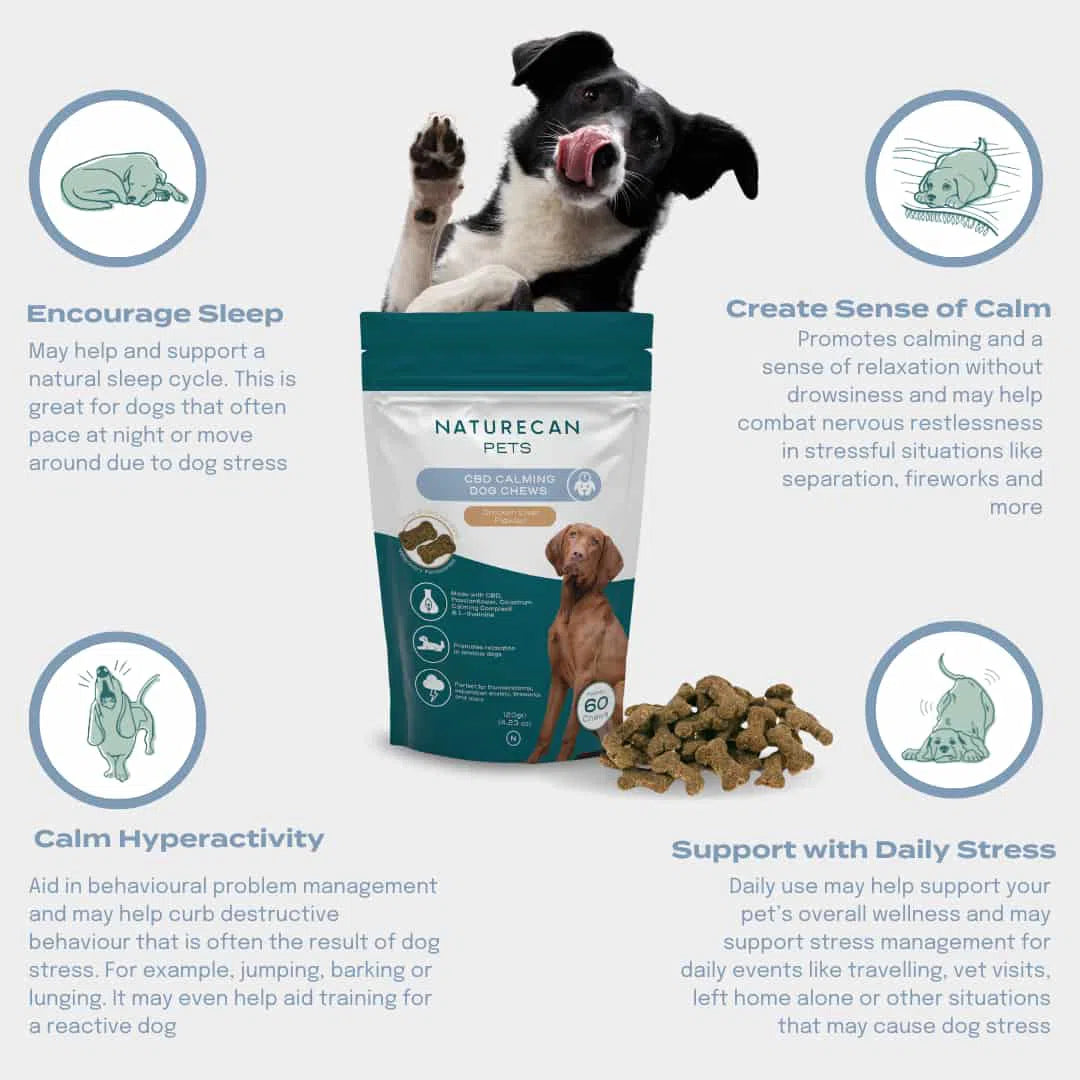 CBD Calming Chews for Dogs Benefits