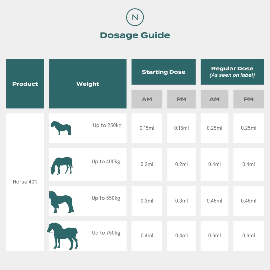 CBD Oil for Horses