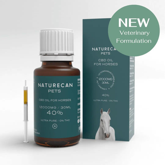 CBD Oil for Horses