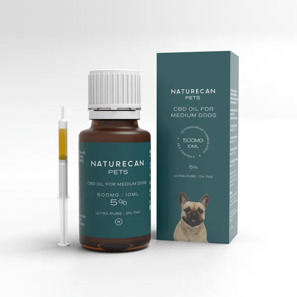 CBD Oil for Dogs