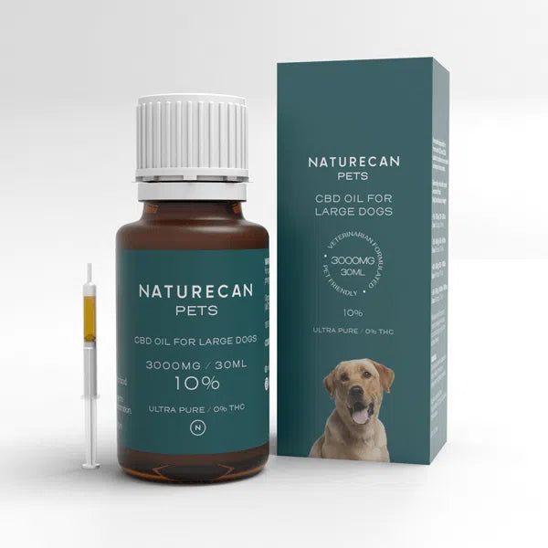 CBD Oil for Dogs