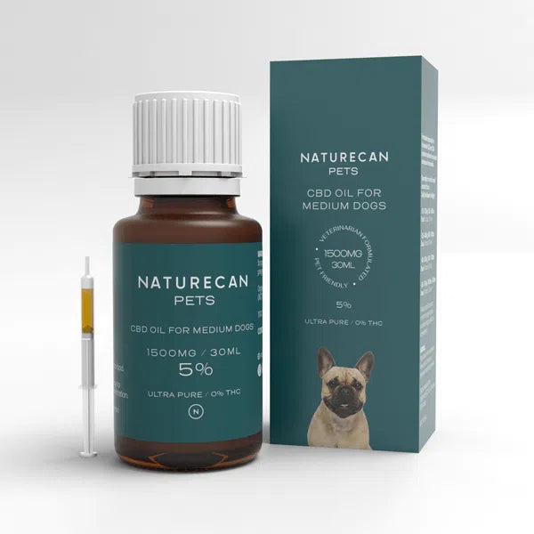 CBD Oil for Dogs